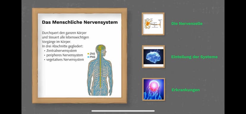 Das Nervensystem
By:
Abdurahman El-Dassouki
Annika Hagemann
Maida Huskic Das Menschliche Nervensystem
Durchquert den ganzen Körper
und Steue
