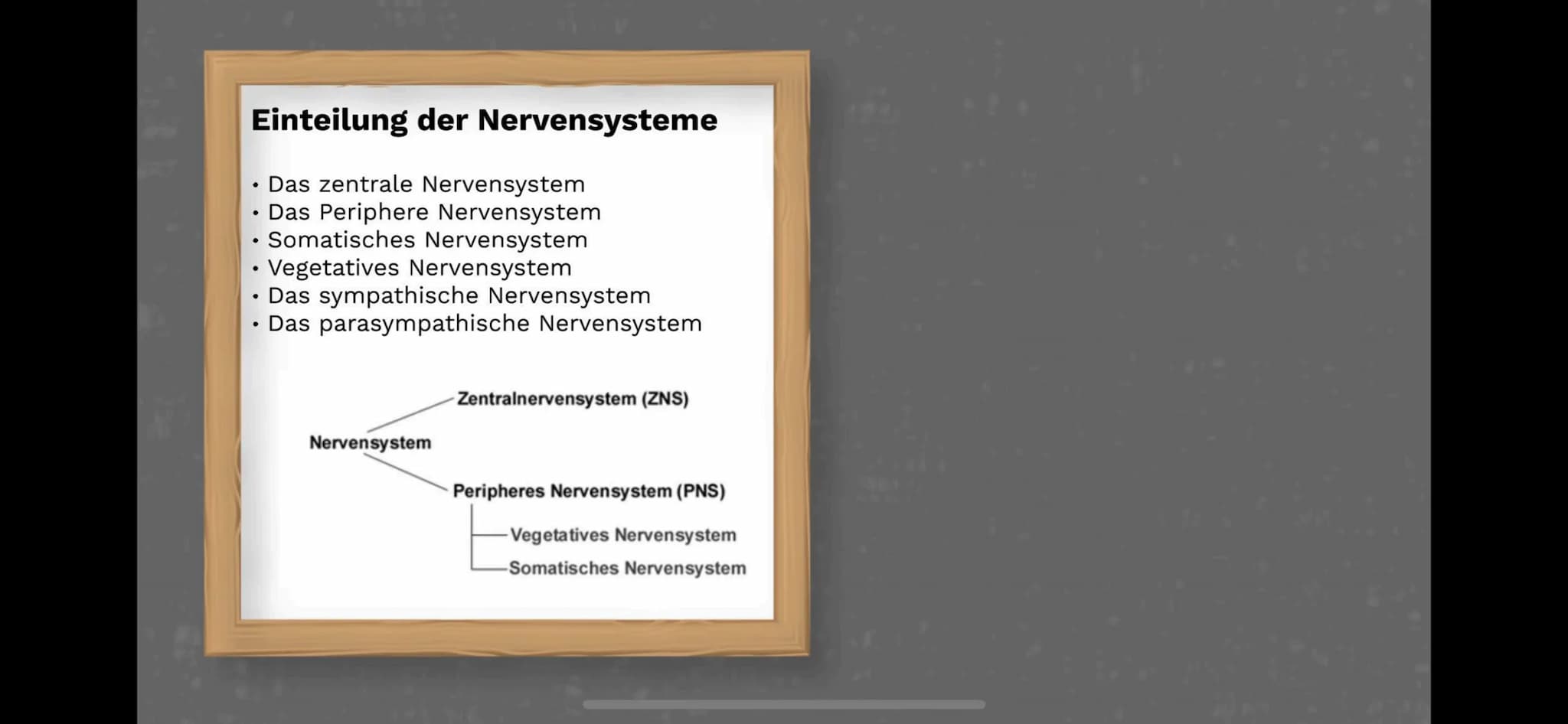 Das Nervensystem
By:
Abdurahman El-Dassouki
Annika Hagemann
Maida Huskic Das Menschliche Nervensystem
Durchquert den ganzen Körper
und Steue