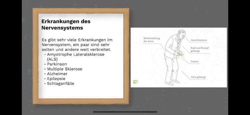 Das Nervensystem
By:
Abdurahman El-Dassouki
Annika Hagemann
Maida Huskic Das Menschliche Nervensystem
Durchquert den ganzen Körper
und Steue
