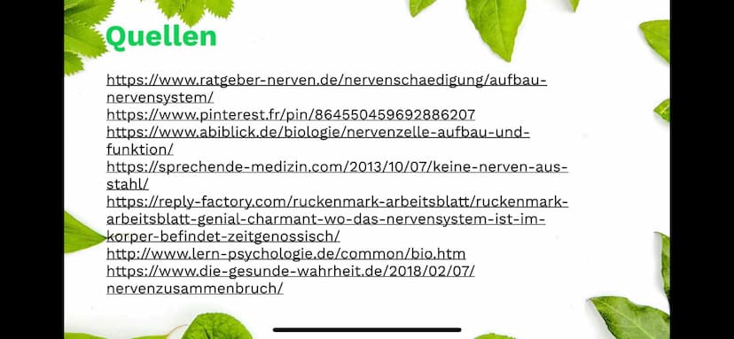 Das Nervensystem
By:
Abdurahman El-Dassouki
Annika Hagemann
Maida Huskic Das Menschliche Nervensystem
Durchquert den ganzen Körper
und Steue