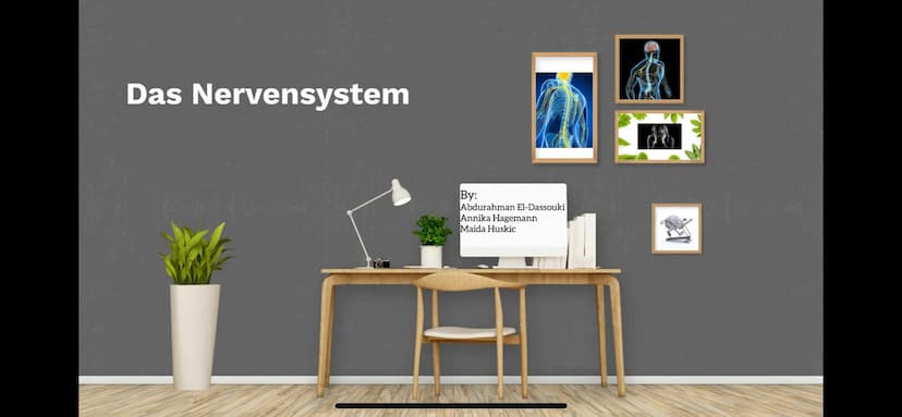 Das Nervensystem
By:
Abdurahman El-Dassouki
Annika Hagemann
Maida Huskic Das Menschliche Nervensystem
Durchquert den ganzen Körper
und Steue