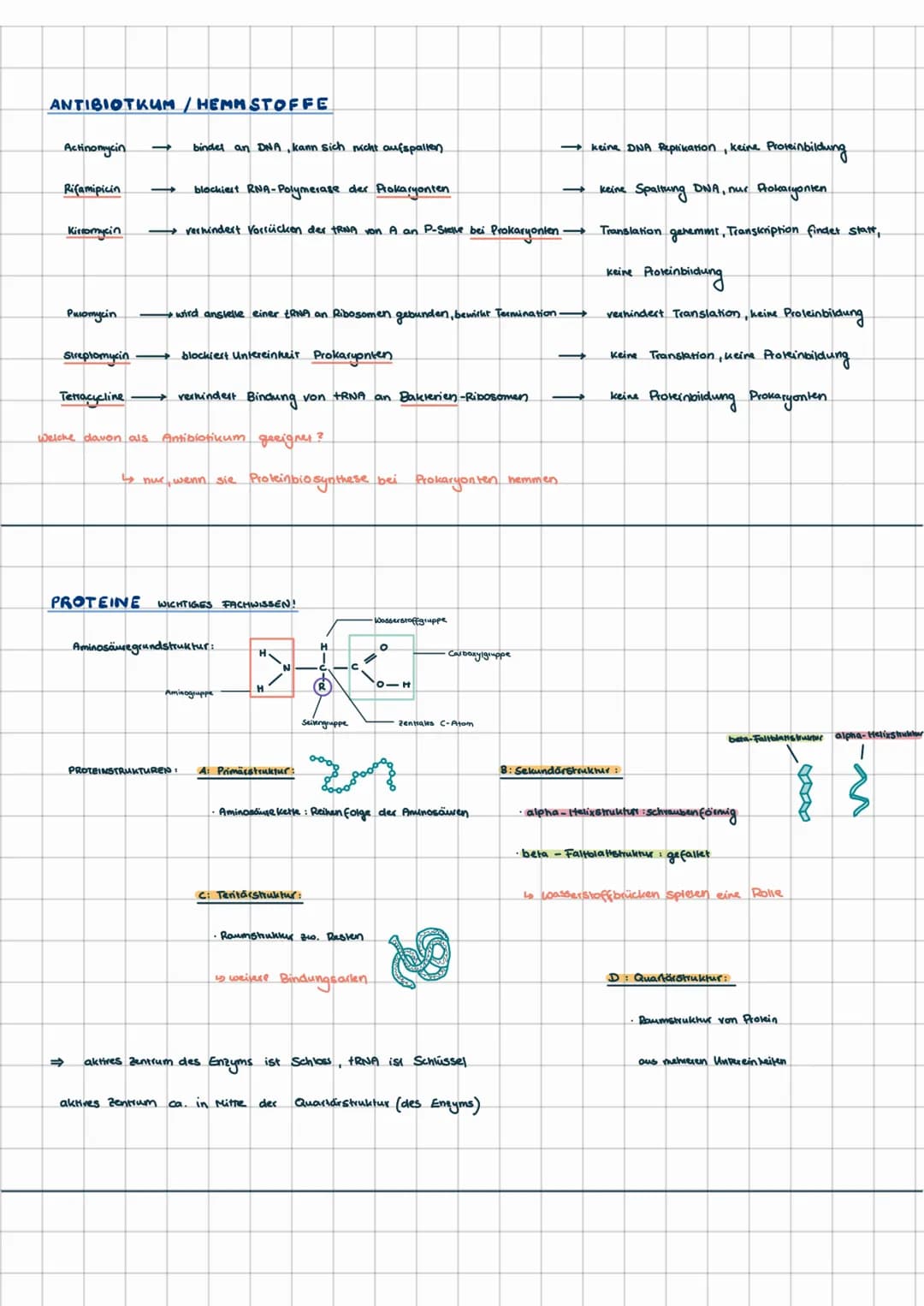 PROTEINBIOSYNTHESE
MRNA
EUKARYONTEN
TRANSKRIPTION
RNA-
Transkript
RNA-Prozessierung
große Untereinheit
VILA
Zellkern
Cytoplasma
tRNA
FAA
kei