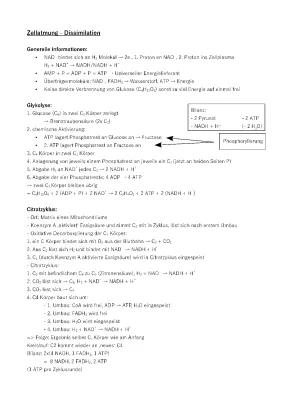 Know aerobe Dissimilation - Zellatmung, Gylkolyse, Citratzyklus, Atmungskette thumbnail