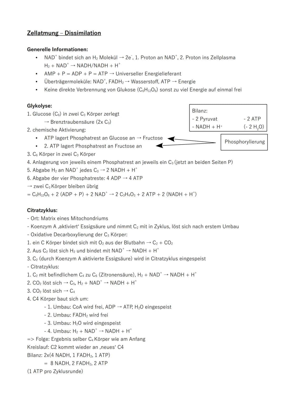 Zellatmung - Dissimilation
Generelle Informationen:
NAD bindet sich an H₂ Molekül → 2e, 1. Proton an NAD*, 2. Proton ins Zellplasma
H₂ + NAD