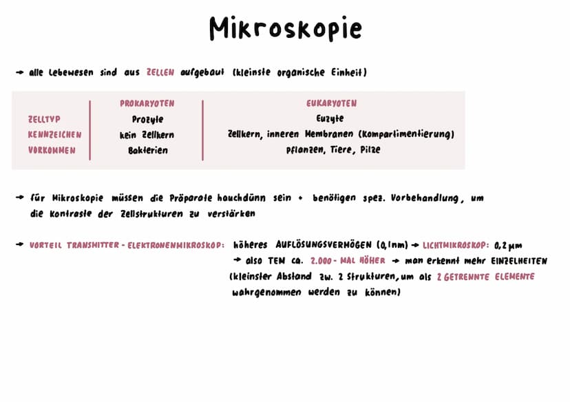 Mitochondrium
kraftwerk der Zelle: Energie wird verarbeitet/hergestellt (Glucose wird abgebaut)
L produziert durch Zellatmung ATP
→ enthält 