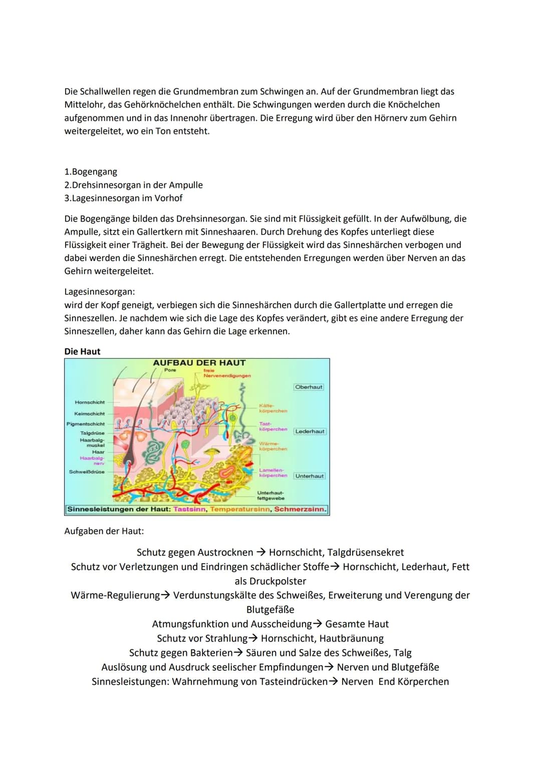 Biologie
Reize: -Umweltveränderungen, die auf den Organismus wirken und mithilfe von
Sinnesorganen aufgenommen werden.
Reizbarkeit: -Fähigke