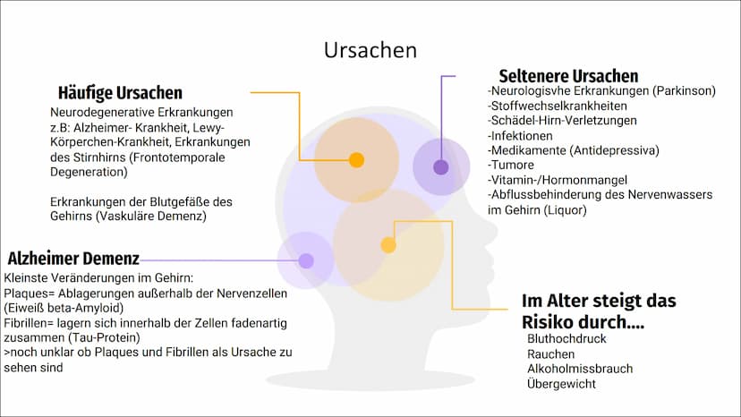 Demenz
Biologi
Reck
9 01
Inhalt
Definition & Symptome Ursachen
-Primäre Demenz
-Sekundäre Demenz
-Alzheimer Demenz
-Vaskuläre Demenz
-Fronto