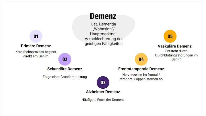 Demenz
Biologi
Reck
9 01
Inhalt
Definition & Symptome Ursachen
-Primäre Demenz
-Sekundäre Demenz
-Alzheimer Demenz
-Vaskuläre Demenz
-Fronto