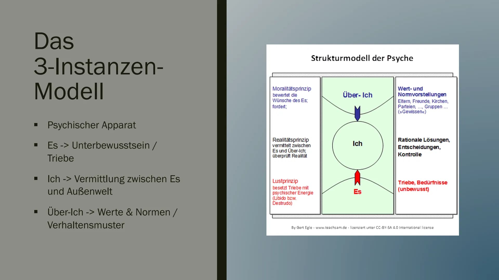 RFP
SIGMUND FREUD
5cm
AF
R
FOV 199
296 512
Tra>Cor(6.1)>Sag
Chile
AVAT
T Wer war Sigmund
Freud?
■ Mediziner
■ Begründer der Psychoanalyse
■ 