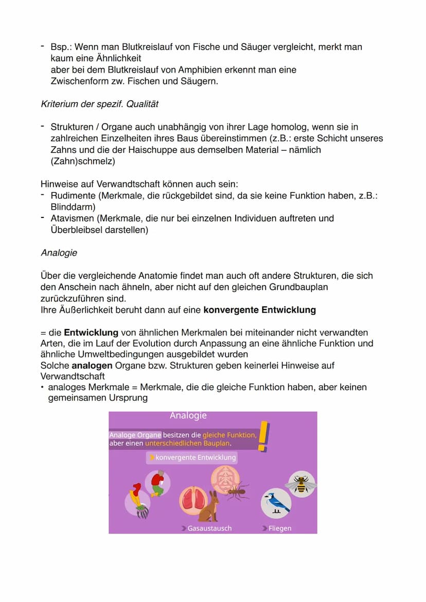 Methoden zur Rekonstruktion der Stammgeschichte
1. Homologien
Ähnlichkeiten biologischer Strukturen aufgrund gemeinsamer Abstammung
Die Arte