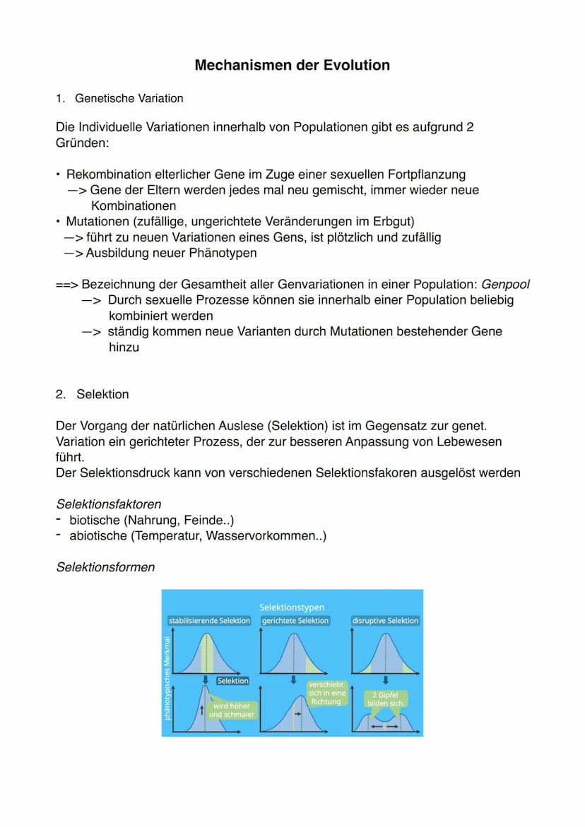 Methoden zur Rekonstruktion der Stammgeschichte
1. Homologien
Ähnlichkeiten biologischer Strukturen aufgrund gemeinsamer Abstammung
Die Arte