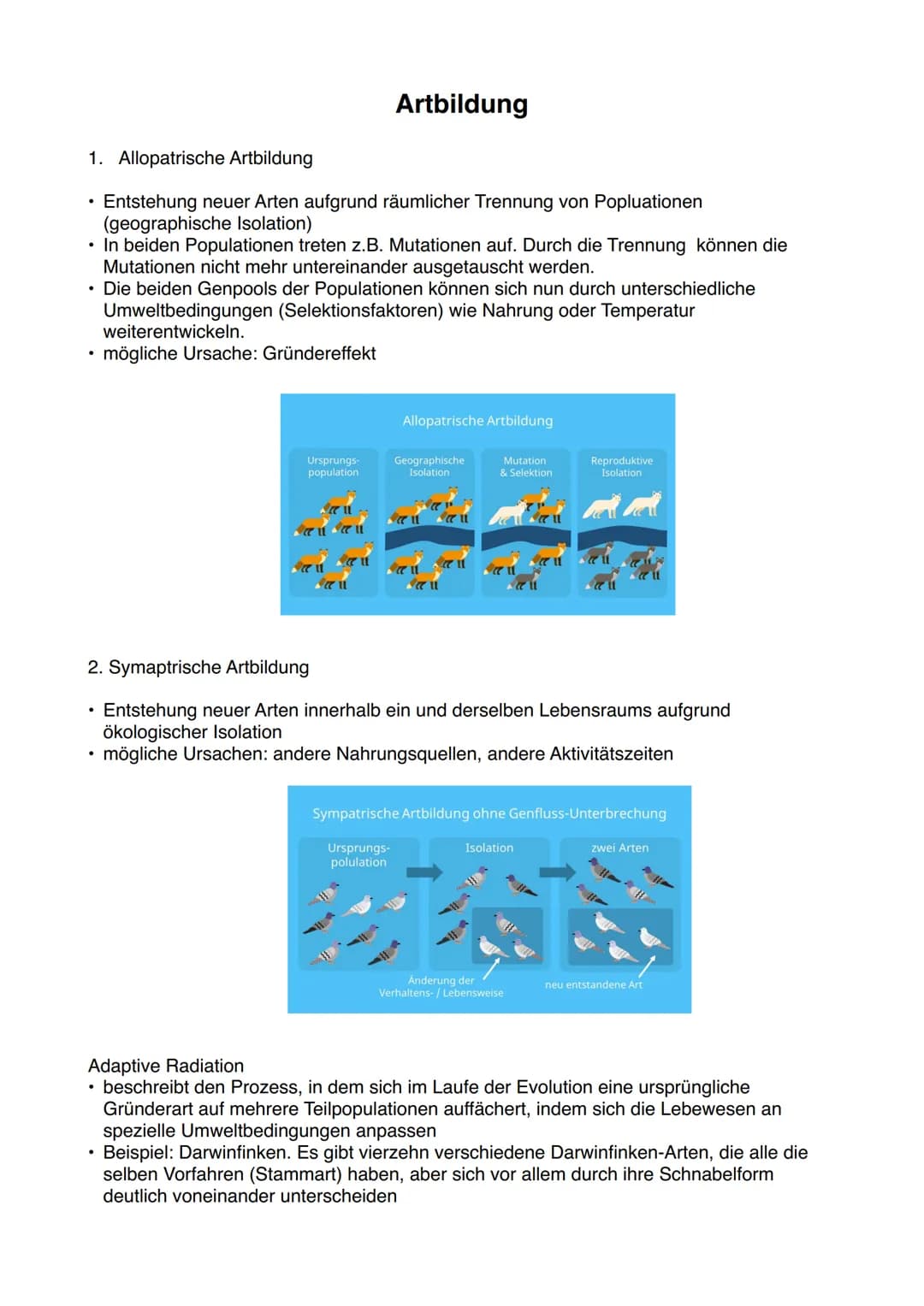 Methoden zur Rekonstruktion der Stammgeschichte
1. Homologien
Ähnlichkeiten biologischer Strukturen aufgrund gemeinsamer Abstammung
Die Arte