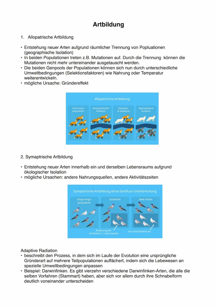 Methoden zur Rekonstruktion der Stammgeschichte
1. Homologien
Ähnlichkeiten biologischer Strukturen aufgrund gemeinsamer Abstammung
Die Arte