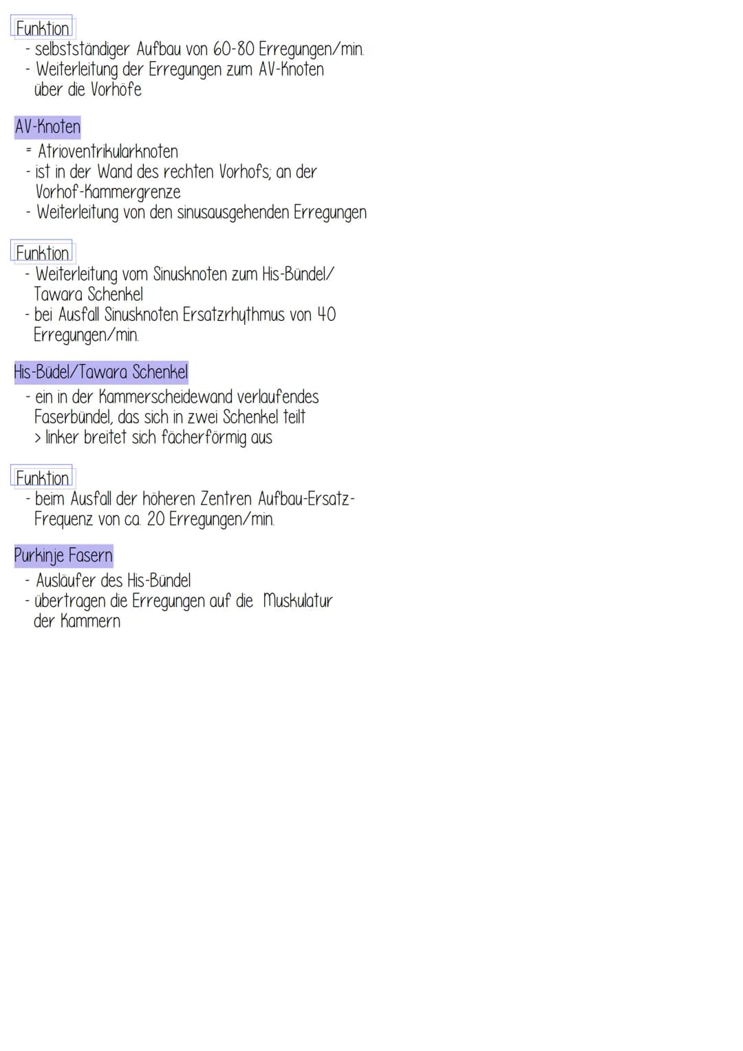 - liegt 2/3 links, 1/3 rechts im vorderen unteren
Mediastinum (Mittelfeldraum)
- Herzachse von hinten oben rechts nach vorne
unten links
- H