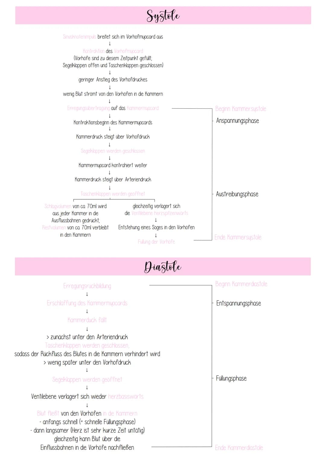 - liegt 2/3 links, 1/3 rechts im vorderen unteren
Mediastinum (Mittelfeldraum)
- Herzachse von hinten oben rechts nach vorne
unten links
- H