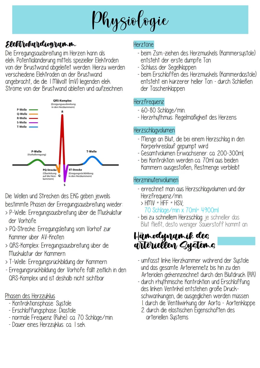 - liegt 2/3 links, 1/3 rechts im vorderen unteren
Mediastinum (Mittelfeldraum)
- Herzachse von hinten oben rechts nach vorne
unten links
- H
