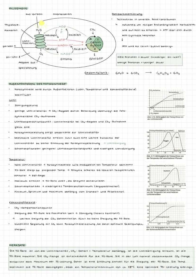 Fotosynthese ALLGEMEIN
wichtiger biologischer Prozess
durch Fotosynthese sauerstoffhaltige Atmosphäre
aus den energiearmen, anorganischen St