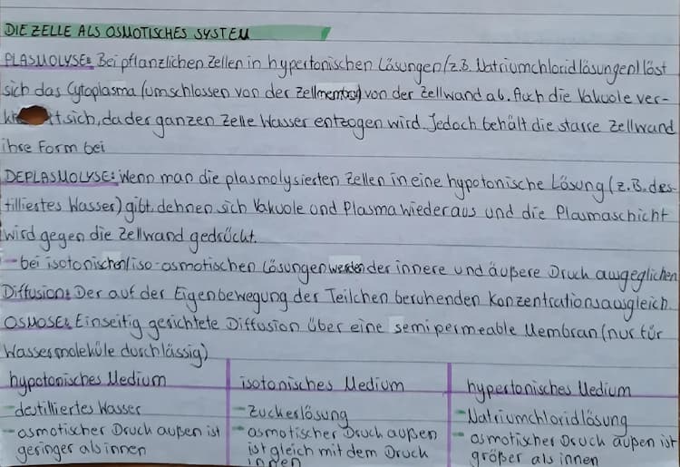 Know osmotisches System Zelle thumbnail