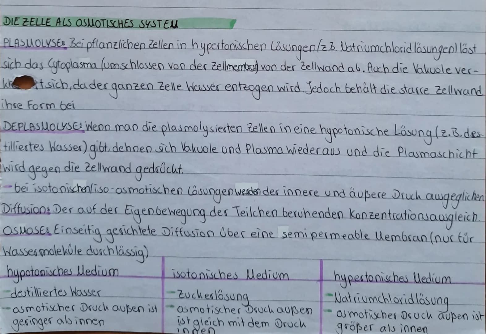 
<h2 id="plasmolyse">Plasmolyse</h2>
<p>Bei pflanzlichen Zellen in hypertonischen Lösungen (z.B. Natriumchlorid-Lösungen) zieht sich das Cyt