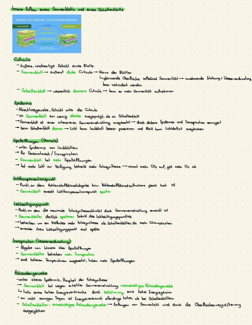 Thema: Wirkungsweise von abiotischen Faktoren
→ Toleranzkurven, Gesetz des Minimums (liebig), tiergeographische Regeln, ökologische Nische
F