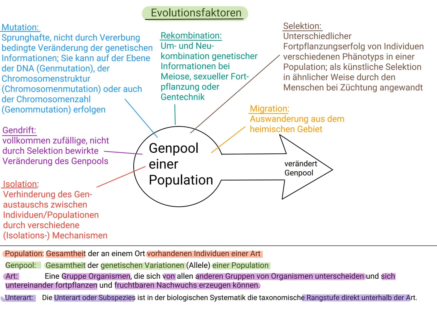 Mutation:
Sprunghafte, nicht durch Vererbung
bedingte Veränderung der genetischen
Informationen; Sie kann auf der Ebene
der DNA (Genmutation