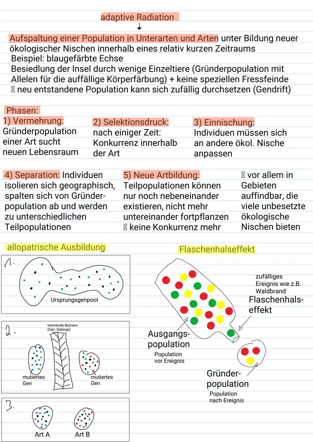 Mutation:
Sprunghafte, nicht durch Vererbung
bedingte Veränderung der genetischen
Informationen; Sie kann auf der Ebene
der DNA (Genmutation