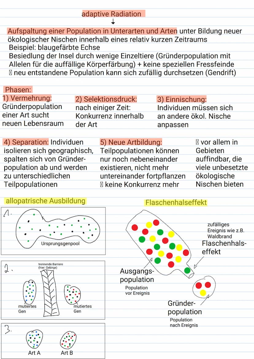 Mutation:
Sprunghafte, nicht durch Vererbung
bedingte Veränderung der genetischen
Informationen; Sie kann auf der Ebene
der DNA (Genmutation