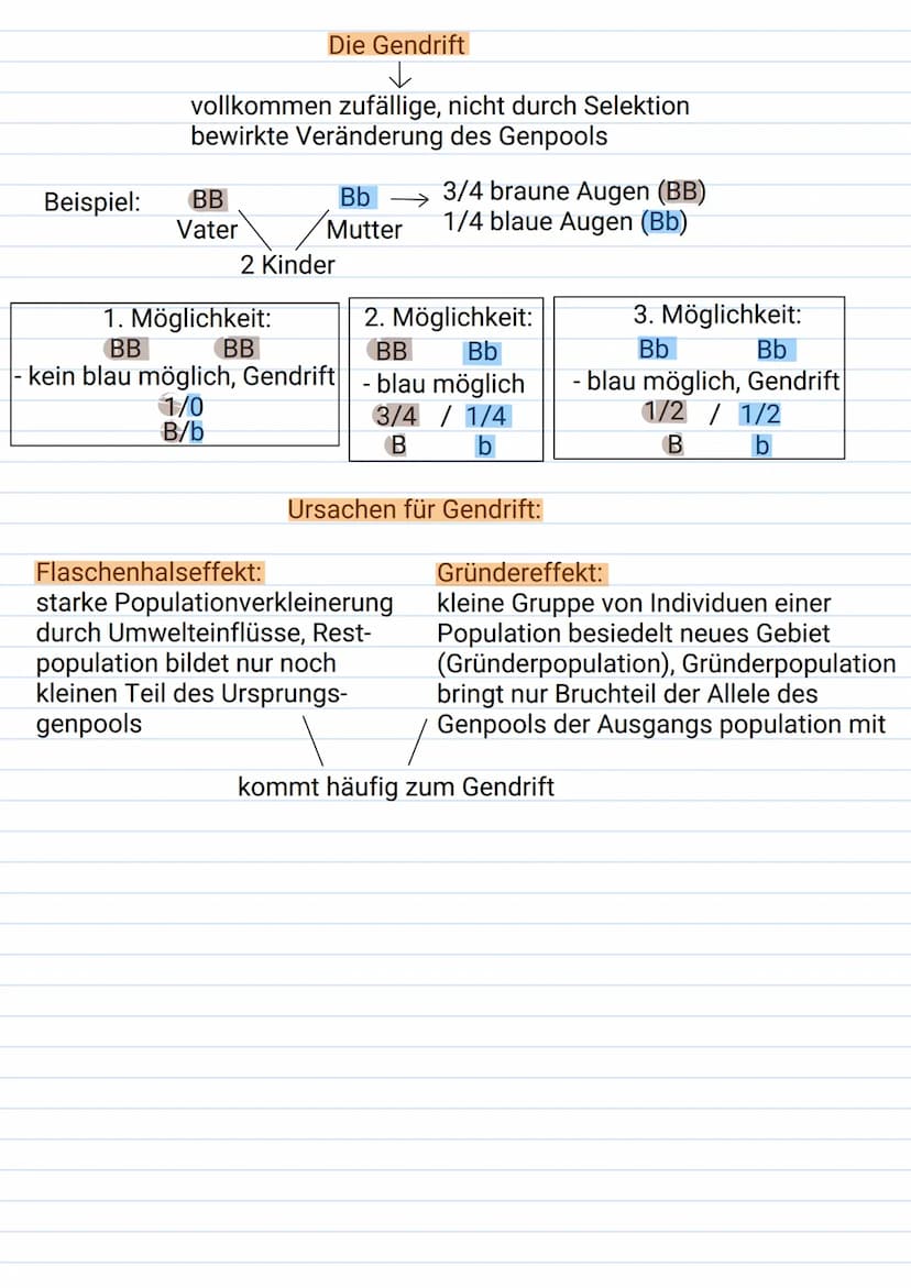 Mutation:
Sprunghafte, nicht durch Vererbung
bedingte Veränderung der genetischen
Informationen; Sie kann auf der Ebene
der DNA (Genmutation