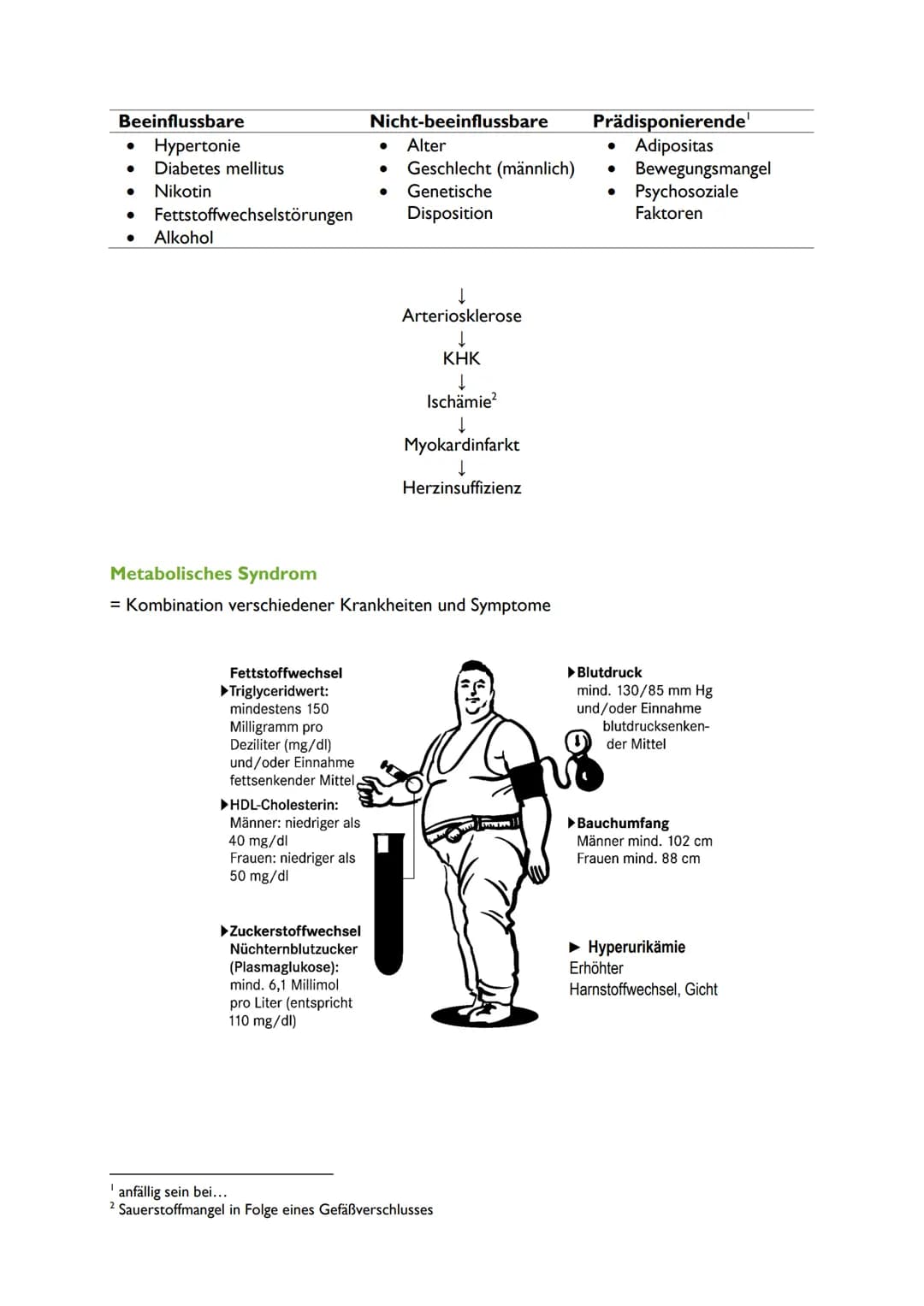 Beeinflussbare
● Hypertonie
Diabetes mellitus
● Nikotin
Fettstoffwechselstörungen
Alkohol
Fettstoffwechsel
▶Triglyceridwert:
mindestens 150
