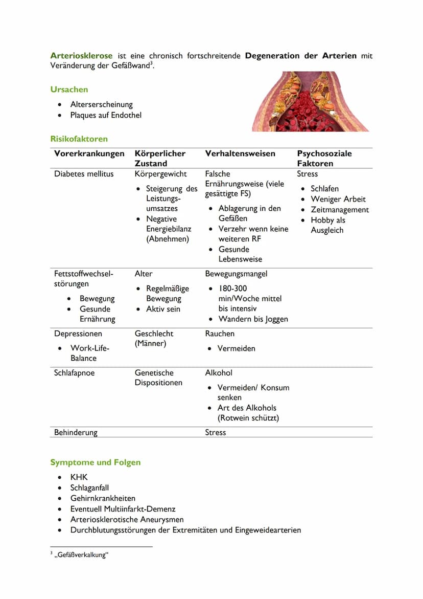 Beeinflussbare
● Hypertonie
Diabetes mellitus
● Nikotin
Fettstoffwechselstörungen
Alkohol
Fettstoffwechsel
▶Triglyceridwert:
mindestens 150
