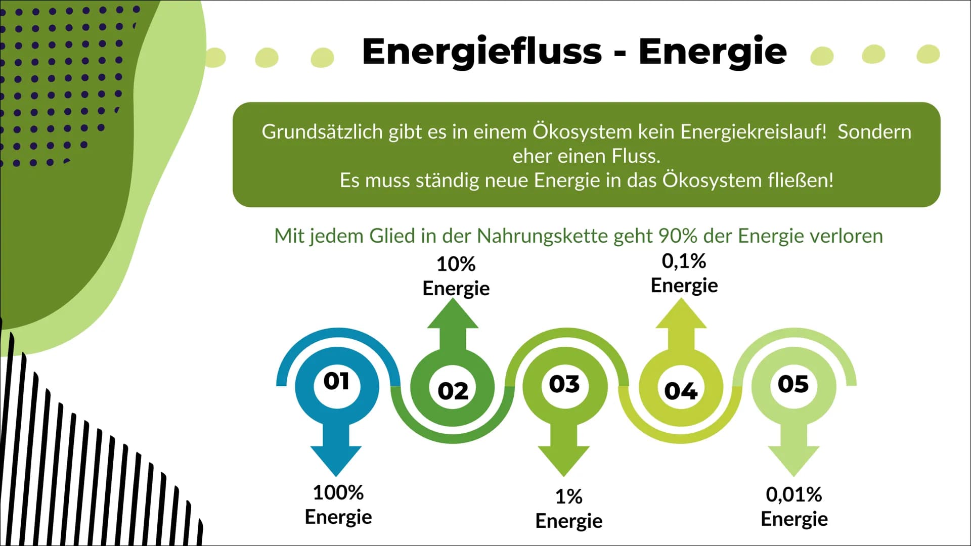 Ökosystem See
Nele O. S20
Biologie 1
Definition
2
Inhaltsverzeichnis
Energiefluss
Stoffkreis-
lauf
-> Stickstoff
-> Phosphor
Q
Oligo-
trophe