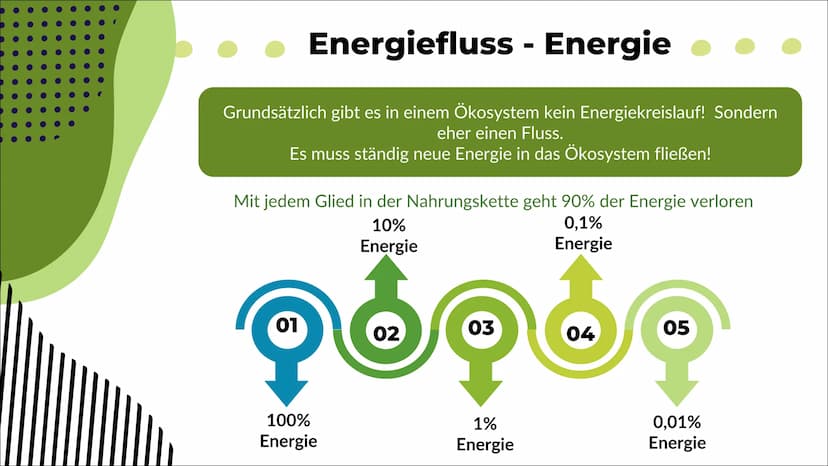 Ökosystem See
Nele O. S20
Biologie 1
Definition
2
Inhaltsverzeichnis
Energiefluss
Stoffkreis-
lauf
-> Stickstoff
-> Phosphor
Q
Oligo-
trophe