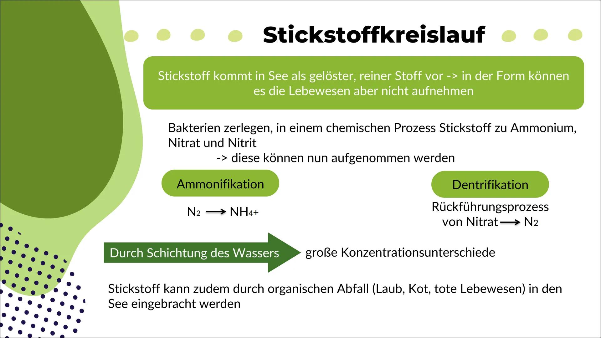 Ökosystem See
Nele O. S20
Biologie 1
Definition
2
Inhaltsverzeichnis
Energiefluss
Stoffkreis-
lauf
-> Stickstoff
-> Phosphor
Q
Oligo-
trophe