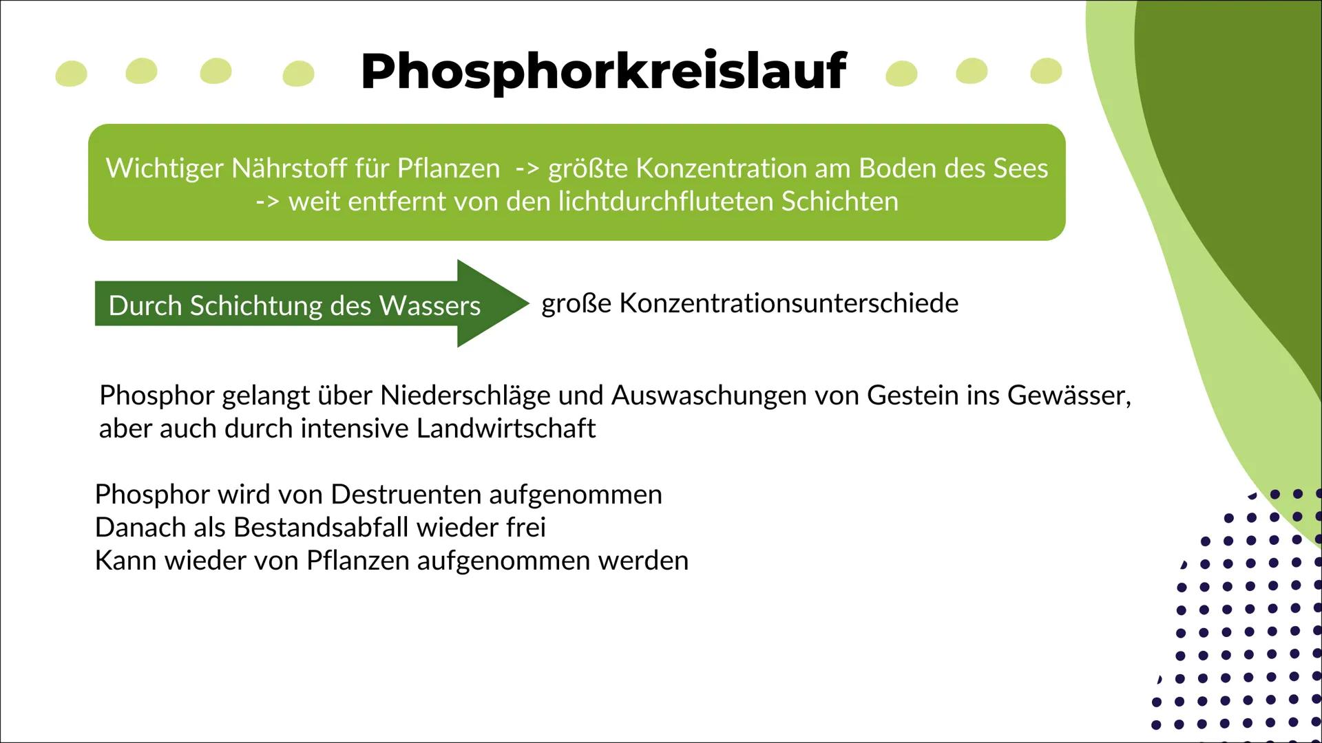 Ökosystem See
Nele O. S20
Biologie 1
Definition
2
Inhaltsverzeichnis
Energiefluss
Stoffkreis-
lauf
-> Stickstoff
-> Phosphor
Q
Oligo-
trophe