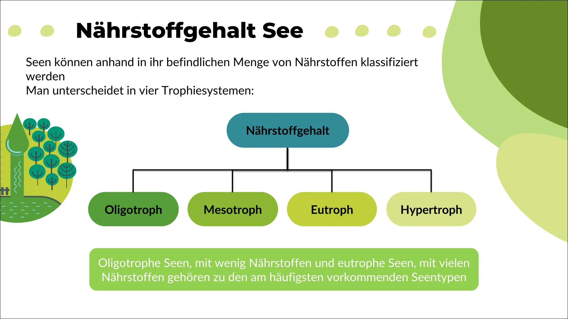 Ökosystem See
Nele O. S20
Biologie 1
Definition
2
Inhaltsverzeichnis
Energiefluss
Stoffkreis-
lauf
-> Stickstoff
-> Phosphor
Q
Oligo-
trophe