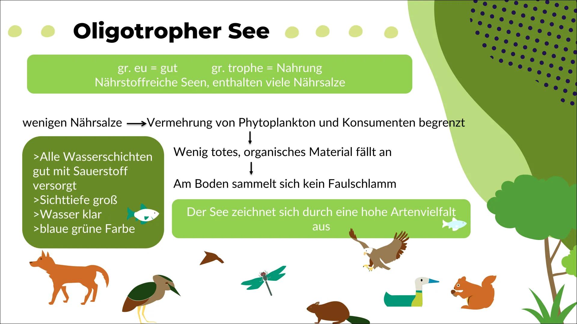 Ökosystem See
Nele O. S20
Biologie 1
Definition
2
Inhaltsverzeichnis
Energiefluss
Stoffkreis-
lauf
-> Stickstoff
-> Phosphor
Q
Oligo-
trophe