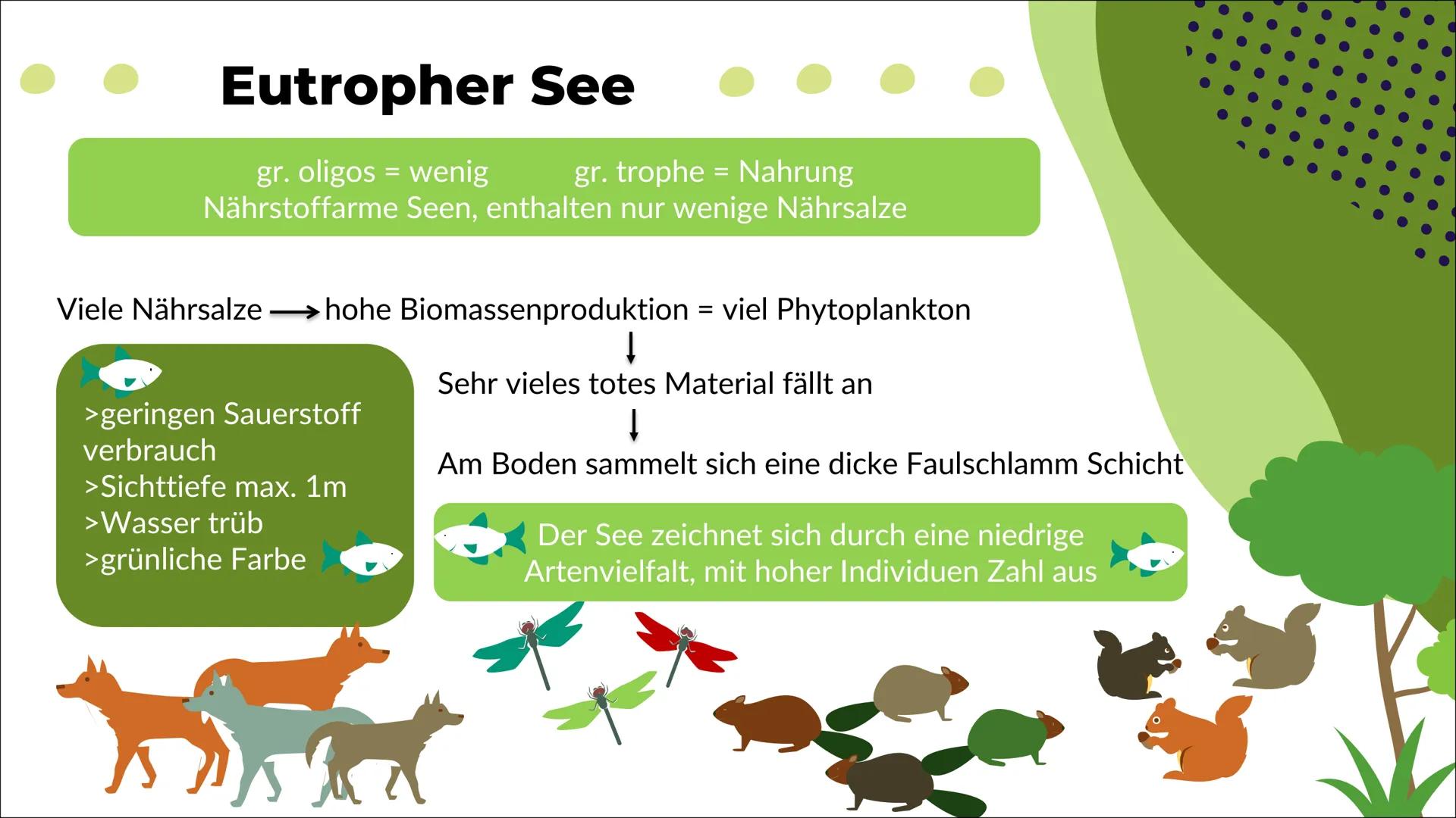 Ökosystem See
Nele O. S20
Biologie 1
Definition
2
Inhaltsverzeichnis
Energiefluss
Stoffkreis-
lauf
-> Stickstoff
-> Phosphor
Q
Oligo-
trophe