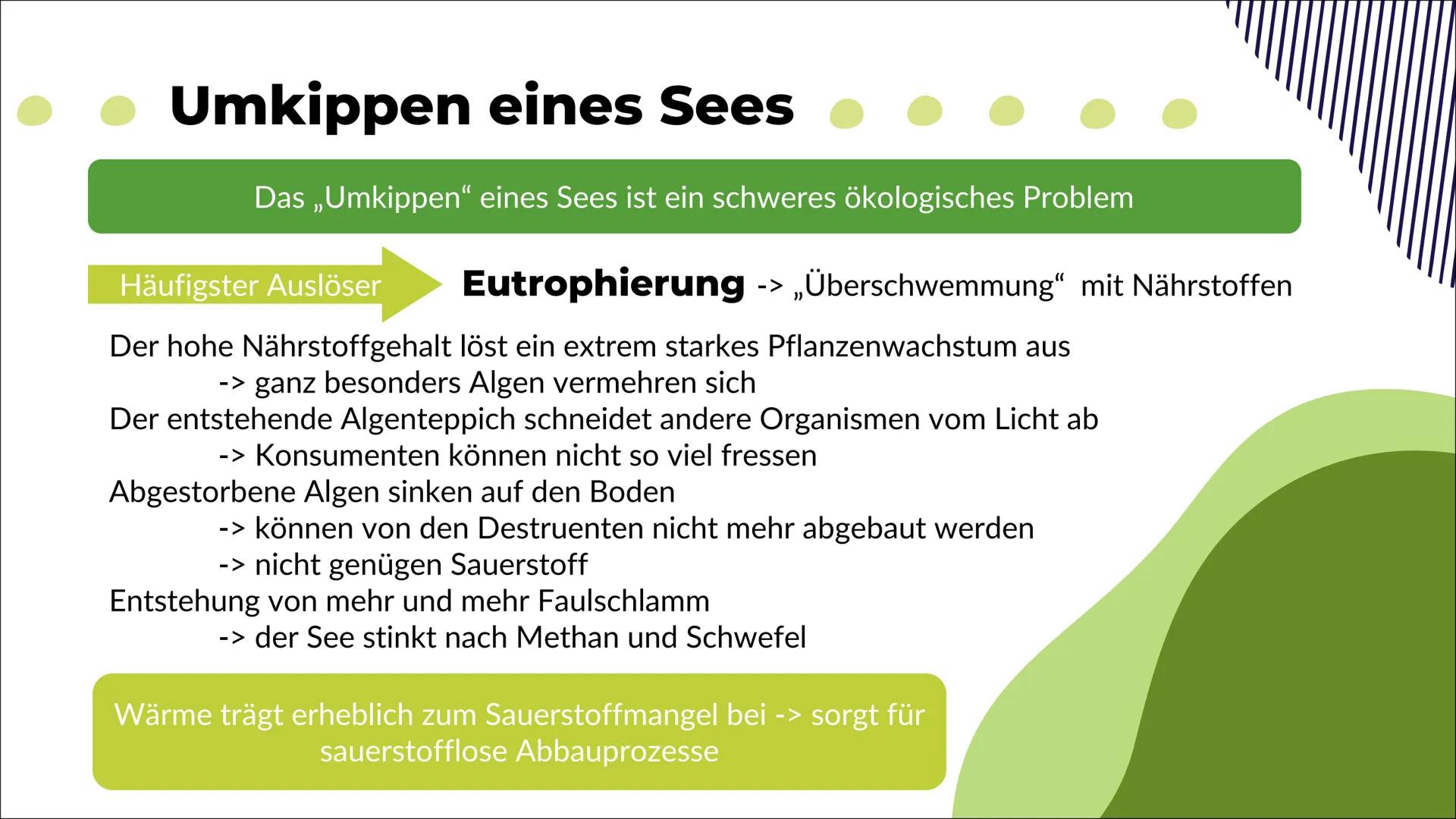 Ökosystem See
Nele O. S20
Biologie 1
Definition
2
Inhaltsverzeichnis
Energiefluss
Stoffkreis-
lauf
-> Stickstoff
-> Phosphor
Q
Oligo-
trophe