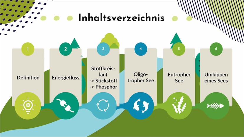 Ökosystem See
Nele O. S20
Biologie 1
Definition
2
Inhaltsverzeichnis
Energiefluss
Stoffkreis-
lauf
-> Stickstoff
-> Phosphor
Q
Oligo-
trophe