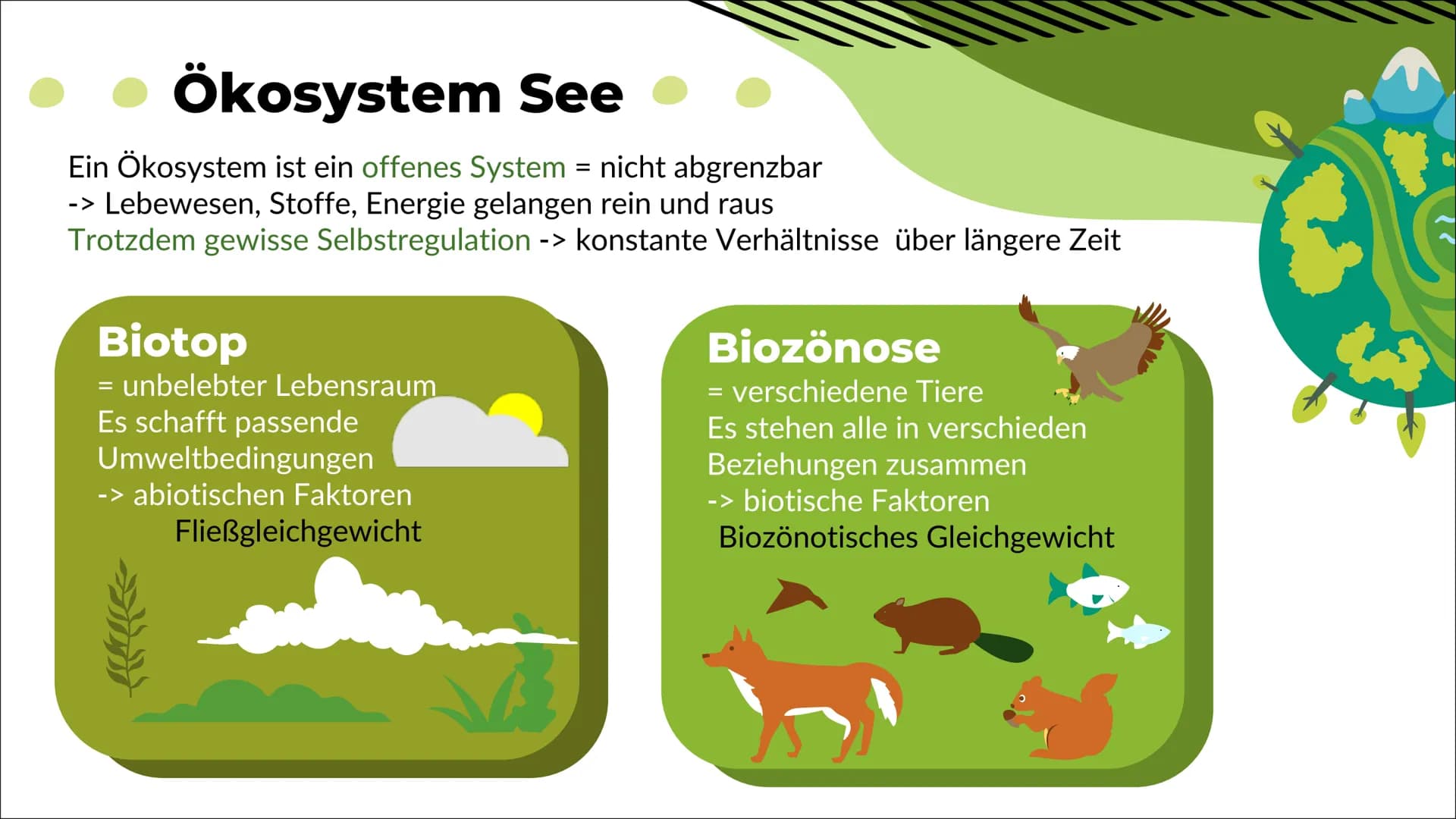 Ökosystem See
Nele O. S20
Biologie 1
Definition
2
Inhaltsverzeichnis
Energiefluss
Stoffkreis-
lauf
-> Stickstoff
-> Phosphor
Q
Oligo-
trophe