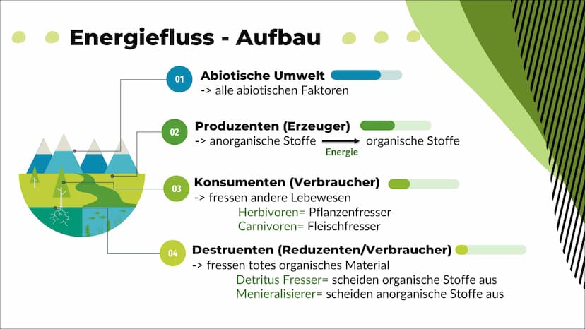 Ökosystem See
Nele O. S20
Biologie 1
Definition
2
Inhaltsverzeichnis
Energiefluss
Stoffkreis-
lauf
-> Stickstoff
-> Phosphor
Q
Oligo-
trophe
