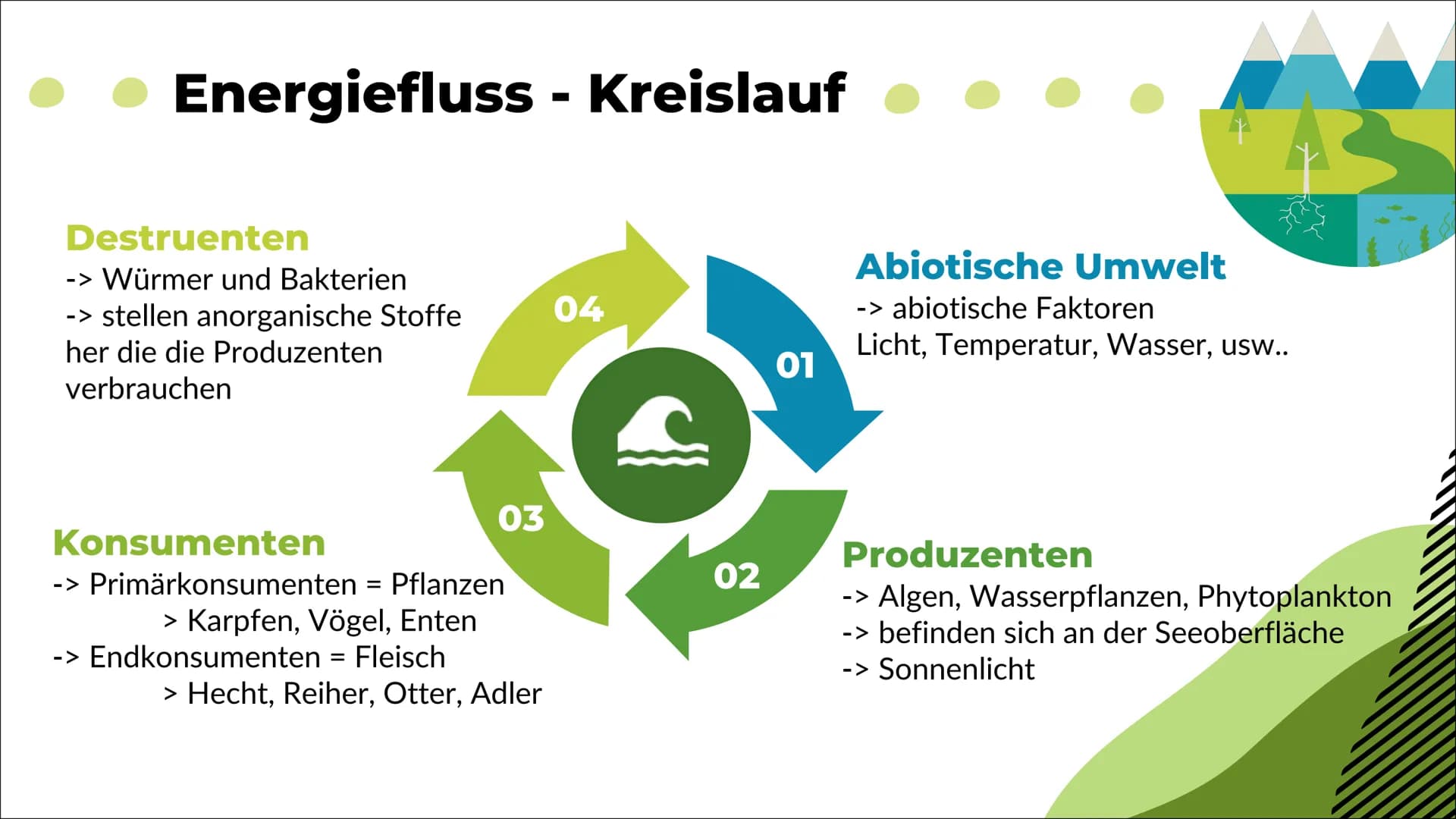 Ökosystem See
Nele O. S20
Biologie 1
Definition
2
Inhaltsverzeichnis
Energiefluss
Stoffkreis-
lauf
-> Stickstoff
-> Phosphor
Q
Oligo-
trophe