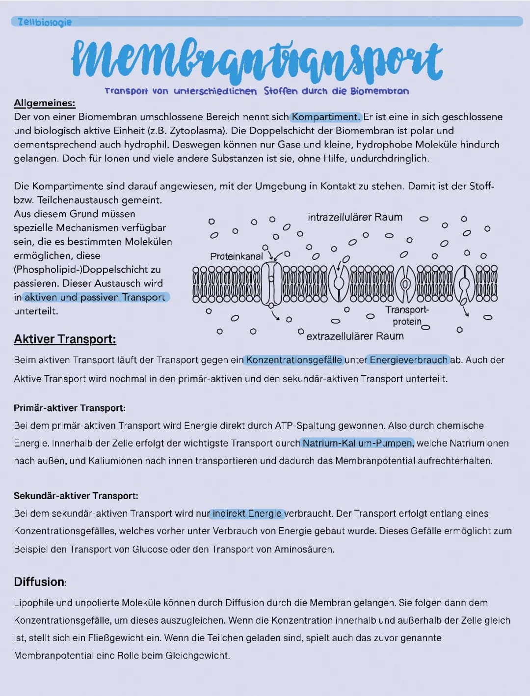 Membrantransport