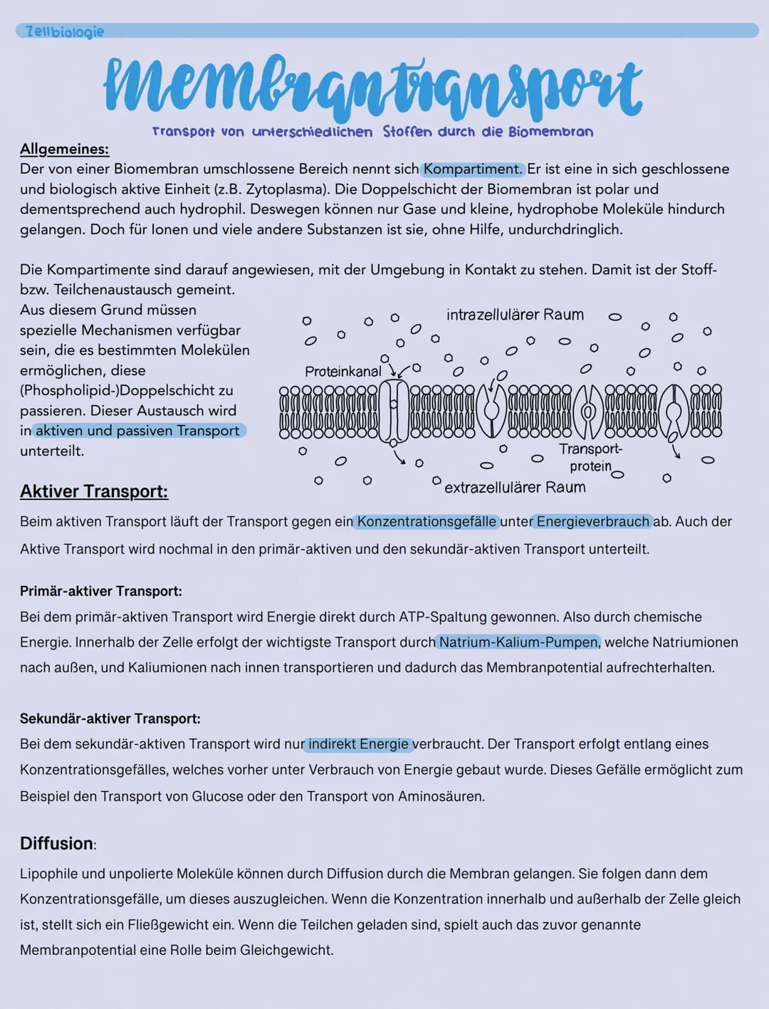 Zellbiologie
membran transport
Transport von unterschiedlichen Stoffen durch die Biomembran
Allgemeines:
Der von einer Biomembran umschlosse