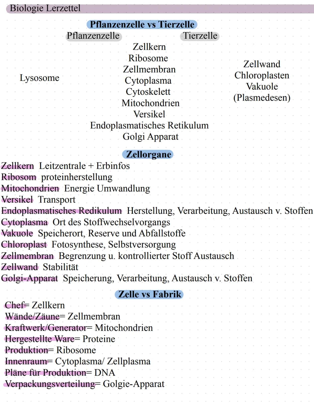Biologie Lerzettel
Lysosome
Pflanzenzelle vs Tierzelle
Pflanzenzelle
Zellkern
Ribosome
Zellmembran
Cytoplasma
Cytoskelett
Mitochondrien
Vers