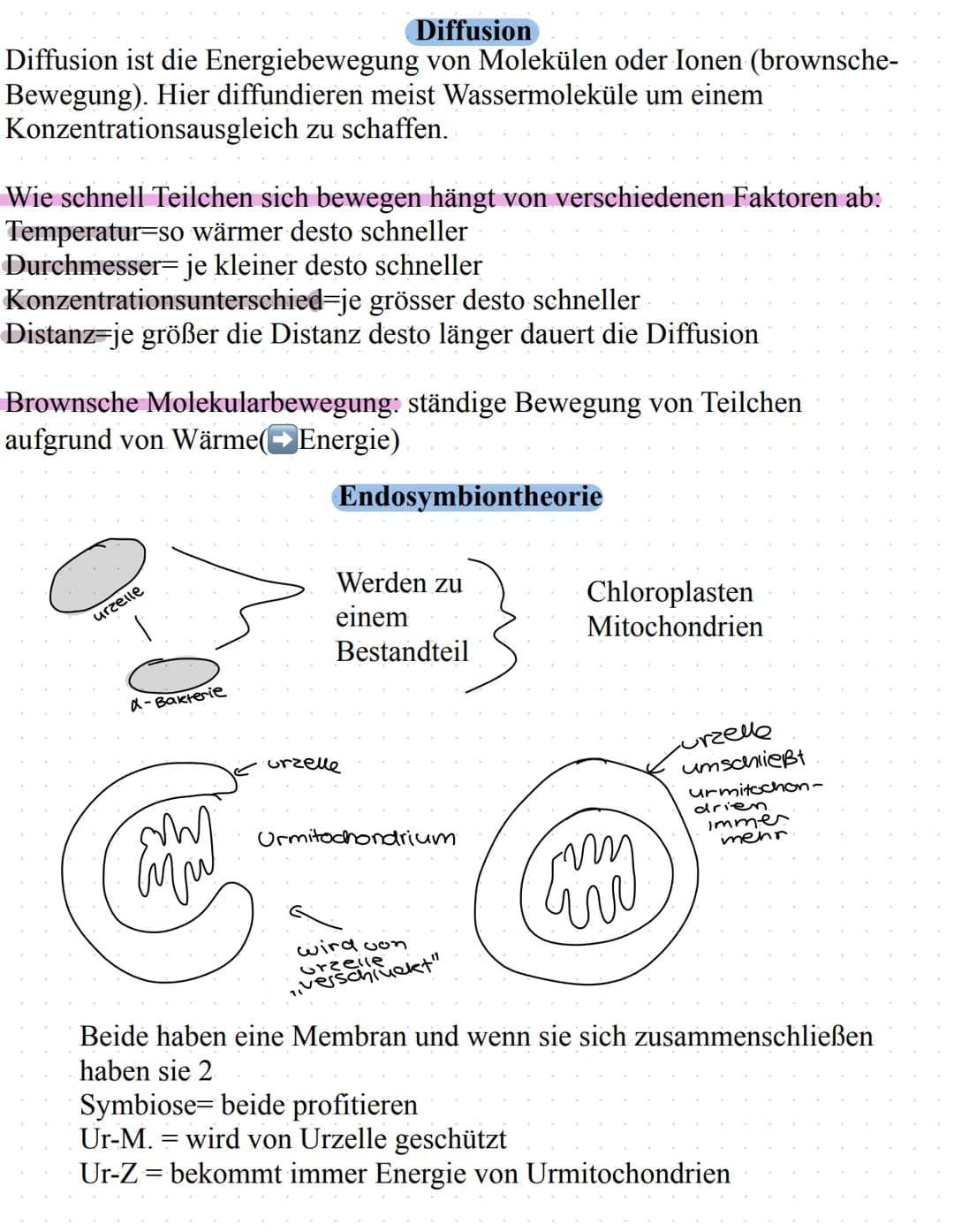 Biologie Lerzettel
Lysosome
Pflanzenzelle vs Tierzelle
Pflanzenzelle
Zellkern
Ribosome
Zellmembran
Cytoplasma
Cytoskelett
Mitochondrien
Vers