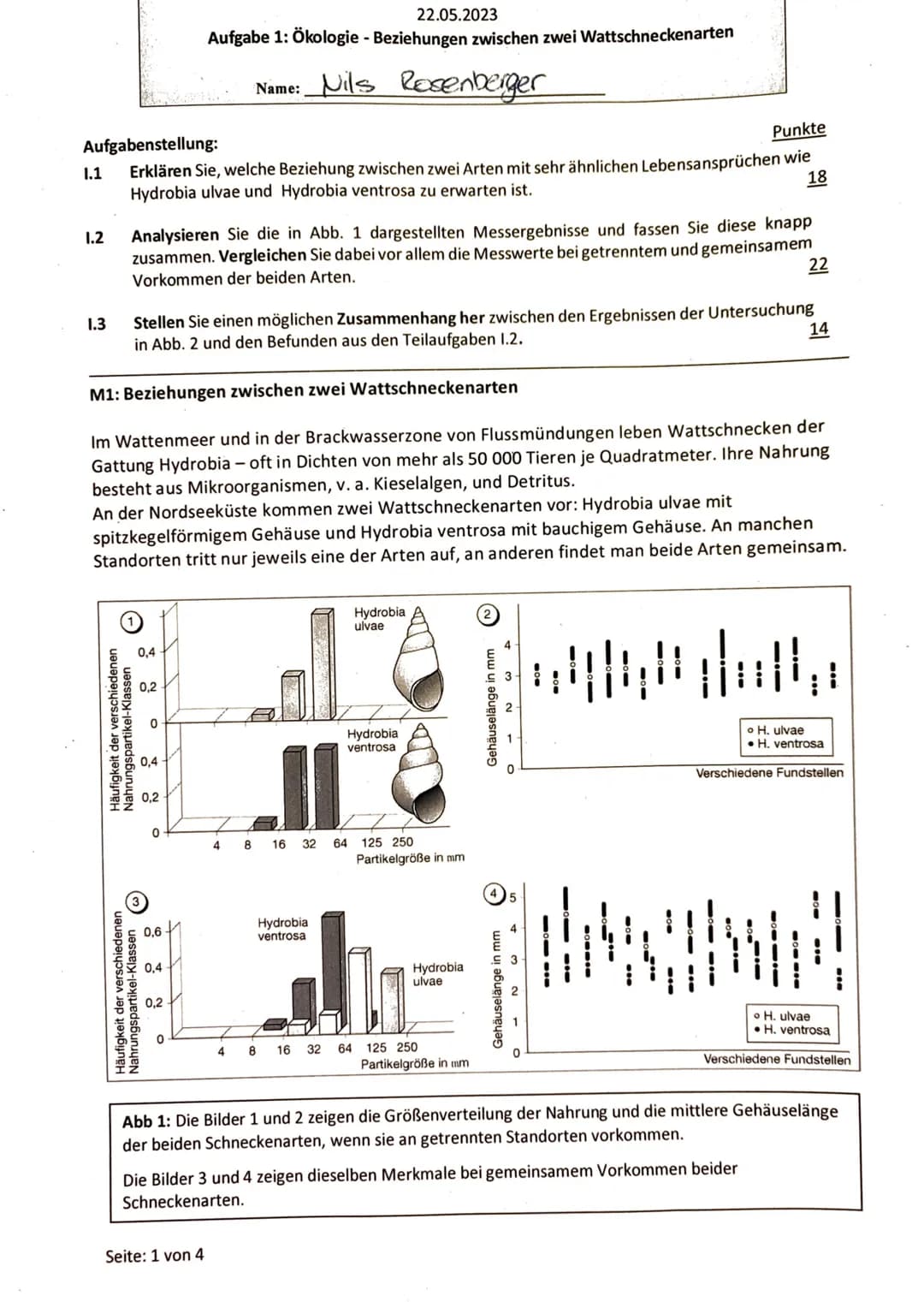 22.05.2023
Aufgabe 1: Ökologie - Beziehungen zwischen zwei Wattschneckenarten
Name: Nils Rosenberger
Aufgabenstellung:
Punkte
1.1
Erklären S