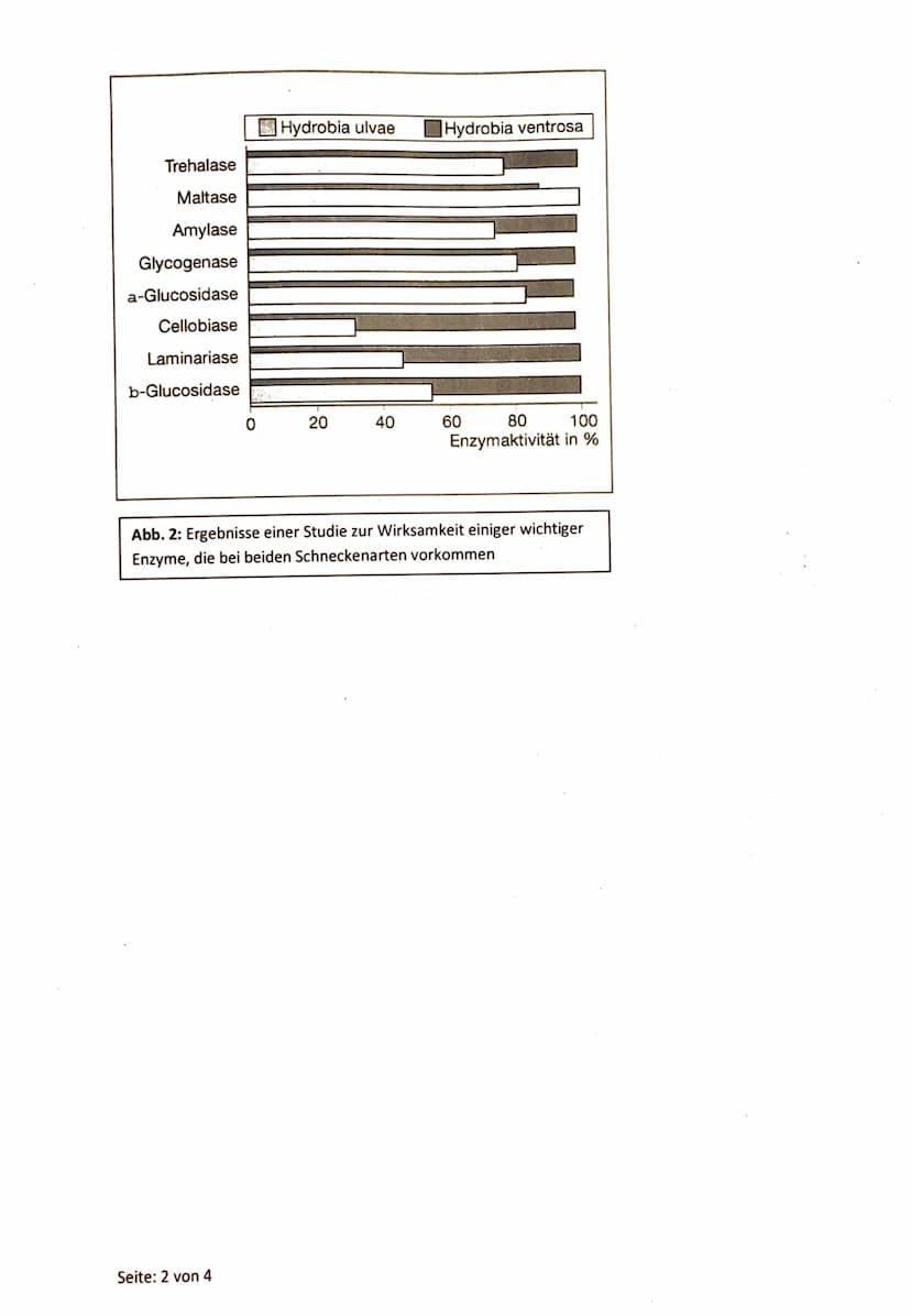 22.05.2023
Aufgabe 1: Ökologie - Beziehungen zwischen zwei Wattschneckenarten
Name: Nils Rosenberger
Aufgabenstellung:
Punkte
1.1
Erklären S