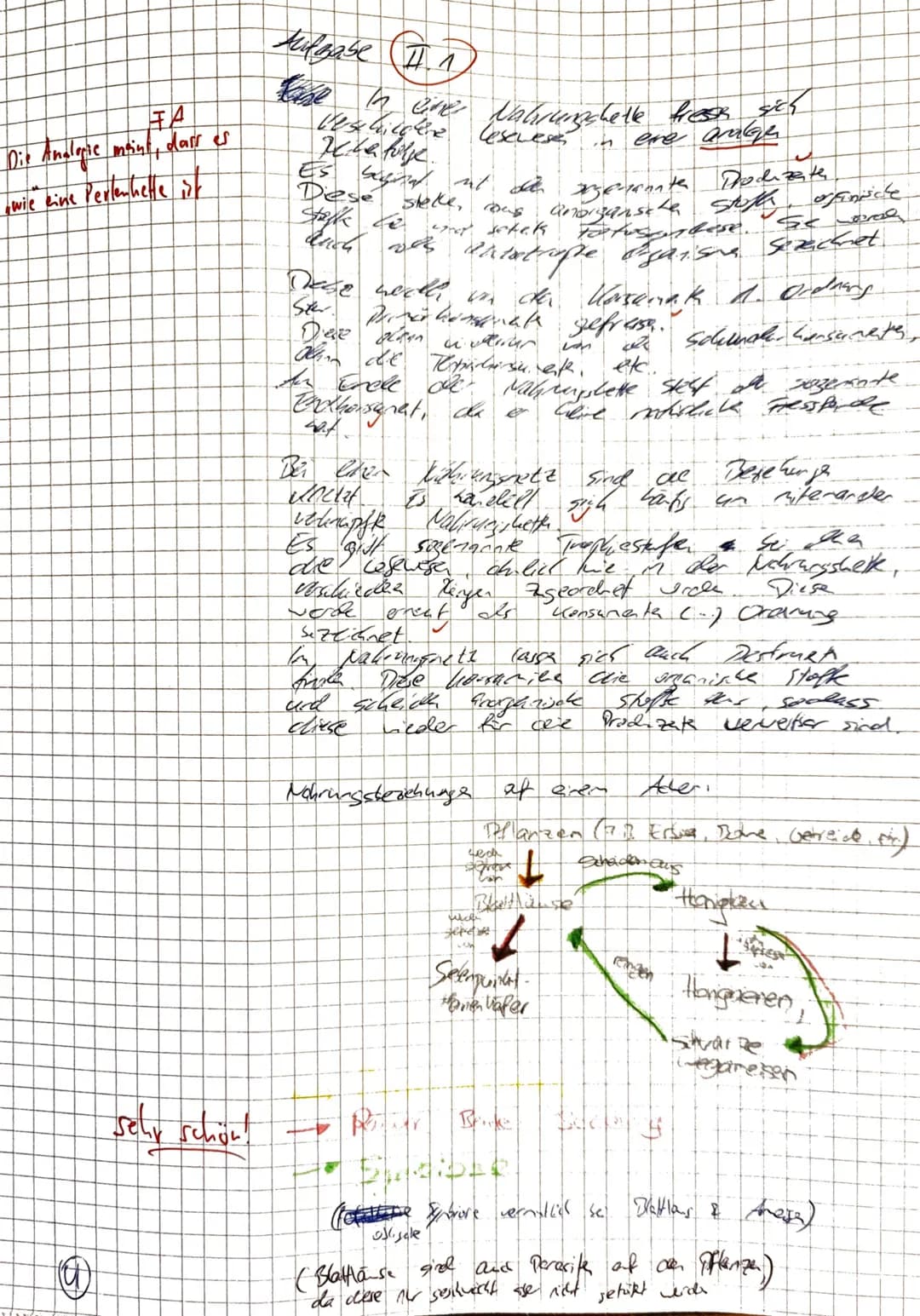22.05.2023
Aufgabe 1: Ökologie - Beziehungen zwischen zwei Wattschneckenarten
Name: Nils Rosenberger
Aufgabenstellung:
Punkte
1.1
Erklären S