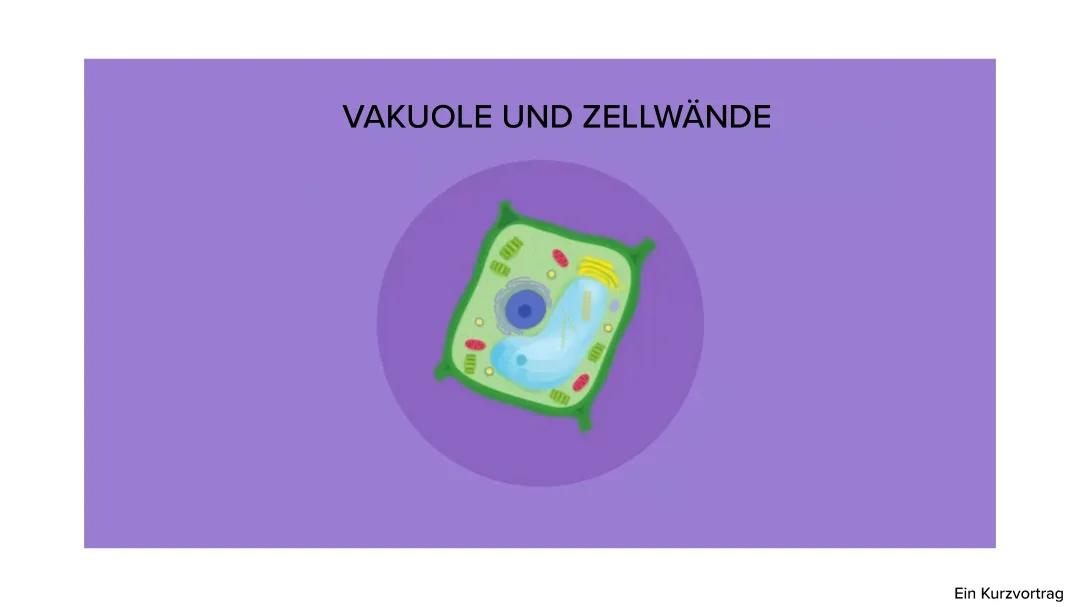 Zellwand & Vakuole 
